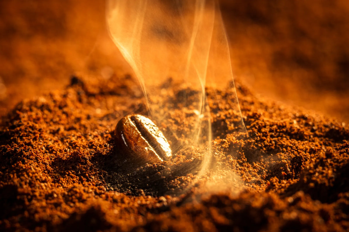 Discover the Top 10 of best coffee beans in australia