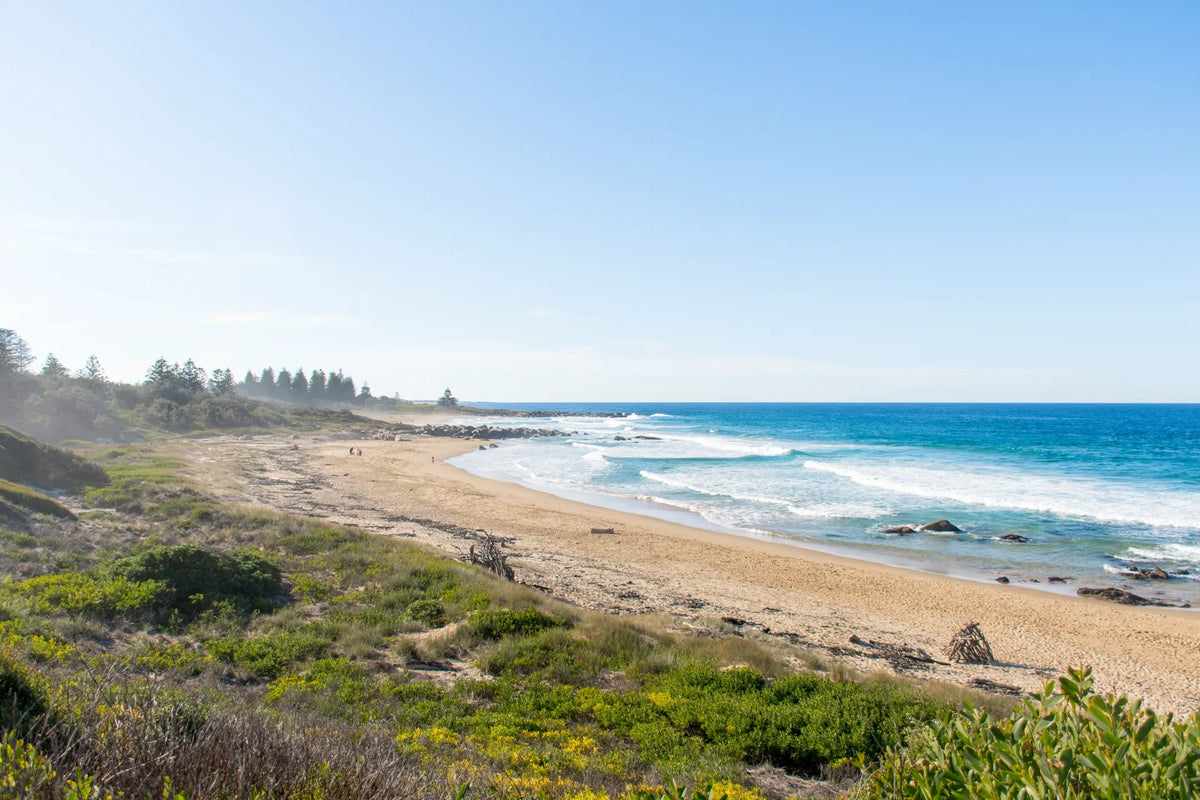Discovery the best beaches in South Australia