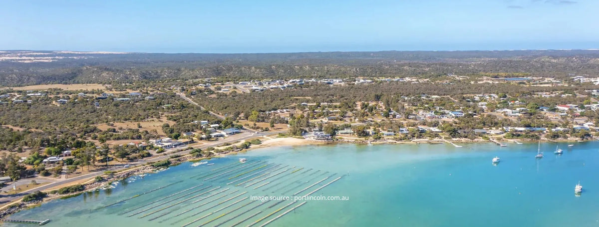 Everything you need to know about Coffin Bay