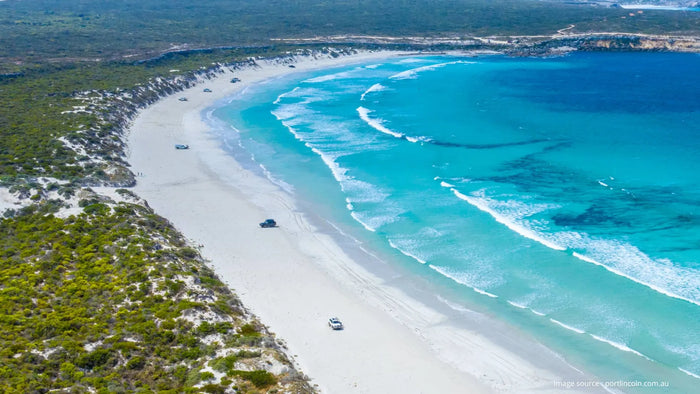 Discovery the best things to do in Port Lincoln